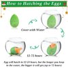 ANPHILE Christmas Hatching Dinosaur Eggs, Christmas Goodie Bag Fillers in Bulk Christmas Party Supplies Favors, Christmas Gifts for Kids School Classroom