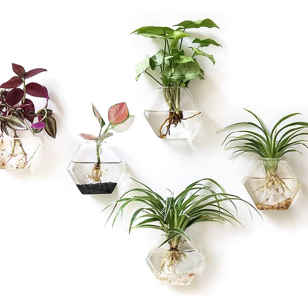 Kingbuy Wall Hanging Glass Planter Propagation Terrarium Hexagon Shape Flower Vase for Home Office Decor, Plant Lover Gifts, 3 Pack, Medium