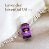 Young Living Lavender Essential Oil | 15ml | 100% Pure Lavender Oil | Aromatherapy Oil for Diffuser and Lavender Essential Oil for The Skin | Steam Distilled from Lavender Flowers
