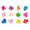 Valuu 3D Nail Dried Flowers Sticker，60 Five Petal Flower 12 Colors Natural Real Dry Flower Nail Stickers （60 Flowers）