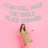 BEISHIDA silver I Can Still Make the Whole Place Shimmer Banner,NO DIY,silver Glitter Birthday Party Decorations,Singer Birthday Banner, Birthday Party Supplies
