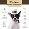 Fera Pets Mushroom Supplement for Dogs & Cats - for Cognition, Vitality & Immune System – Organic Lion’s Mane, Shiitake Mushrooms & More - 120 Scoops​