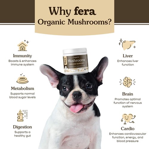 Fera Pets Mushroom Supplement for Dogs & Cats - for Cognition, Vitality & Immune System – Organic Lion’s Mane, Shiitake Mushrooms & More - 120 Scoops​