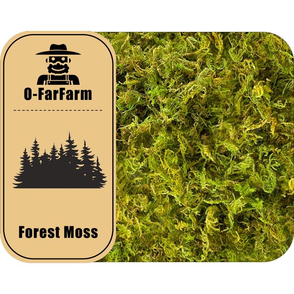 O-FarFarm Dried Forest Moss for Plants 16oz / 9qt, Green Orchid Sphagnum Moss, Long Fibered Dried Moss for Succulents Garden Flowers Pot and Reptiles Visit The O-FarFarm Store