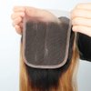 Ombre Closure Pre Plucked 4x4 Closure Body Wave Free Part Lace Base Brazilian Hair Human Hair Extensions Curly Sew In Hair Weave Wet And Wavy Unprocessed Virgin Hair 1b27 Closure 10 Inch