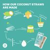 EQUO Coconut Straws, Disposable, Biodegradable, Compostable, and Plastic-Free Drinking Straws, Pack of 50, Standard