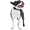 Educator CPAD-011 Dog Training Collar Receiver Comfort Pad, Improves Contact, Reduces Irritation and Skin Sensitivities, Winged Ultra Comfort, Long Hair