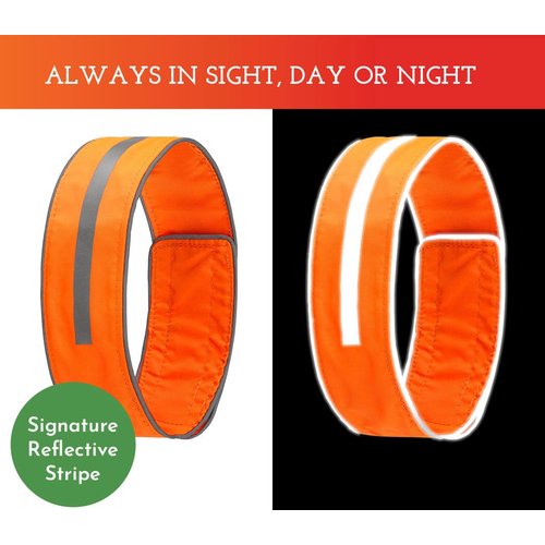 SPOT THE DOG! Reflective Dog Collar - Adjustable Pet Collars, Safe, Durable, Comfortable Dog Walking Accessories for Small Dog, Hunting Dog, Puppy, Lightweight Boy, Girl Dog Collars (Blaze Orange, S)