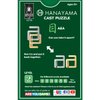 BePuzzled | A&A Hanayama Cast Metal Brain Teaser Puzzle Mensa Rated Level 2, for Ages 12 and Up