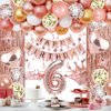 6th Rose Gold Birthday Party Decorations for Girls, Rose Gold Happy Birthday Banner, Fringe Curtains, Heart Foil Balloons, Crown Balloons for Girls' 6th Birthday Decorations