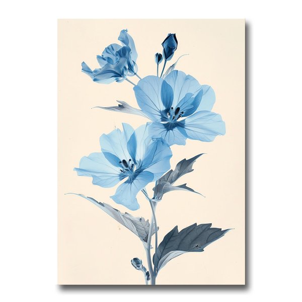 Illustration Of A Flower With Blue Flowers, Basil Organic Simplicity, Natural Core, Poster