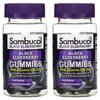 Sambucol Black Elderberry Gummies with Vitamin C & Zinc - Sambucus Elderberry Gummies for Immune Support, High Antioxidants, Gluten Free, Vegan, Elderberry with Zinc & Vitamin C - 30 Count, 2 Pack