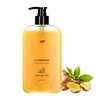 Ginger Plant Extract Anti Hair Loss Shampoo for Hair Regrowth, Thickening and Longer Hair - For Women & Men (400ML)