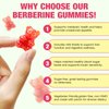 Berberine Comples Gummies with Ceylon Cinnamon, Milk Thistle, ACV, Sugar Free Berberine Supplement for Metabolism, Energy, Gut Health, Fasting Body Mass Control, Vegan, Gluten-Free Watermelon Flavor