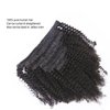 Afro Kinky Curly Clip in Human Remy Hair Extensions Brazilian Curly Clips Hair Extensions 4B 4C 8A Virgin Thick Natural Black Color Clip on For Black Women 10-22 inch (12 inch, AC #1B)