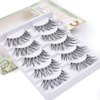 False Eyelashes 5 Pairs Multipack Synthetic Fiber Material 3D Lashes Natural Reusable Lashes for Professional Used for Women Girls by EYEMEI