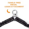 Double Dog Leash for Two Dogs - No Tangle Two Dog Leash, Comfortable Shock Absorbing Reflective Bungee Dog Double Leash, Dual Walking Training Lead for 2 Dogs