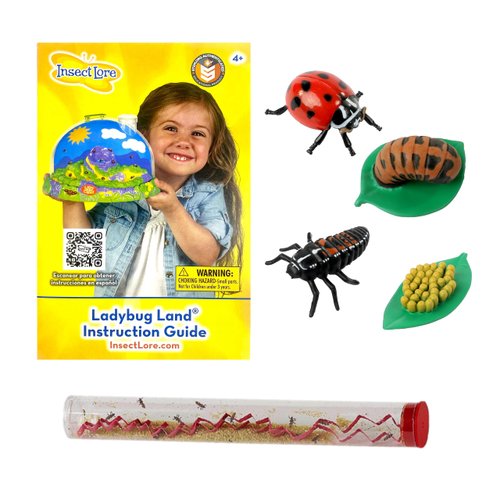 Insect Lore Live Baby Ladybug Larvae - Ladybug Growing Kit REFILL with Ladybug Life Cycle Toy Figurines - SHIP NOW