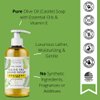 Brittanie's Thyme Organic Natural Hand Soap, 16 oz (Bergamot & Lime) Moisturizing Castile Soap Made Olive Oil And Natural Luxurious Essential Oils. Vegan, Gluten & Cruelty Free,