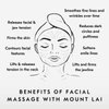 Mount Lai - The Jade Facial Spa Set | Jade Roller and Gua Sha Set | Gua Sha Tools to Relieve Muscle Tension and Reduce Puffiness | Anti Aging Skin Care Sets for Women