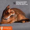 Natural Flea & Tick Collar for Cats - 12 Months Control of Best Prevention & Safe Treatment - Anti Fleas and Ticks Essential Oil Repellent (1 Count)