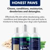 Honest Paws Dog Shampoo and Conditioner - 5-in-1 for Allergies and Dry, Itchy, Moisturizing for Sensitive Skin - Sulfate Free, Plant Based, All Natural - Oatmeal & Aloe -16 Fl Oz