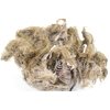 EISCO EcoExploration Simulated Owl Pellet with Vole - Realistic Educational Tool for Biology and Ecology, Reusable, 3x1.25 Inches - Made in USA (Pack 5)