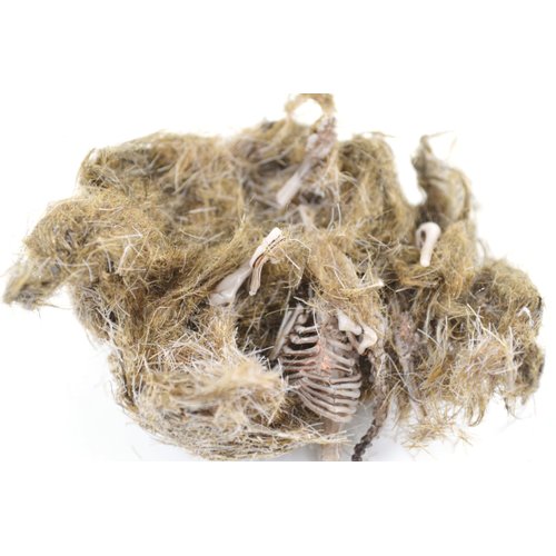 EISCO EcoExploration Simulated Owl Pellet with Vole - Realistic Educational Tool for Biology and Ecology, Reusable, 3x1.25 Inches - Made in USA (Pack 5)