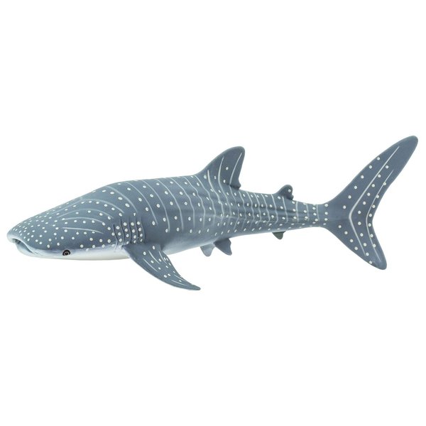 Safari Ltd. Whale Shark Figurine - Detailed 7.25" Aquatic Figure - Educational Toy for Boys, Girls, and Kids Ages 3+