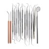 Plaque Remover Kit Set of 14 Oral Hygiene Tools Professional Dental Picks Double & Single Ended Picks with Mouth Mirror & Tweezers for Gum Care Cleaning Set Stainless Steel with Carrying Case