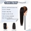 Rich Choices Claw Clip Ponytail Extension Human Hair 22 Inch Real Hair Ponytail Extension Balayage #1B Natural Black 120g One Piece Clip In Long Ponytail Hair Extensions Straight For Women