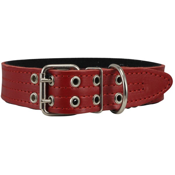 Genuine Leather Dog Collar, Padded Red, 1.5" Wide. Fits 14"-18" Neck Size, Medium