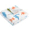 HOMRITAR Baby Blanket for Kids Super Soft Minky Blanket with Dotted Backing, Toddler Blanket with Dinosaurs Multicolor Printed 30 x 40 inch(75x100cm)