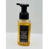 Into The Night Gentle Foaming Hand Soap 8.75 Ounce Full Size Pump Bottle Wash