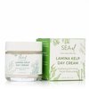 Sea-El Lamina Sea Kelp Day Cream Hydrating & Firming Anti Aging Glow Natural & Organic Dry Skin Care - Daily Face Moisturizer for Women & Men - 2 Oz