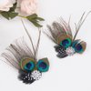 Comidox Cute Peacock Feather Hair Clip with Rhinestones,Charming Peacock Headpiece Feather Hair Accessories for Weddings,Dance Parties,Halloween Party,Beautiful Peacock Accessories for Women(Set of 2)