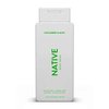 Native Body Wash - Cucumber & Mint - Sulfate Free - Sulfate & Paraben Free, Gentle on Skin 18 fl oz - Pack of 01