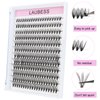 Cluster Lashes 240pcs 20D DIY Eyelash Extension D Curl Long Individual Lashes Mixed Tray Faux Mink Lash Clusters Extensions 0.07 0.10 Black (20D-0.07D-9-16mm)