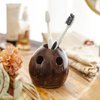 HOME INFINIX ECO-Friendly Coconut Shell Toothbrush Holder - Handmade Natural Bathroom Organizer Toothpaste Holder for Electric Toothbrushes, Razors, Pens - Sustainable for Bathroom Home & Office