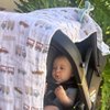All4Ella Baby Blanket Stroller Clips (4 Pack) | Hooks Muslin to Stroller | Australian Baby Product | Infant/Toddler | Peach/Cream