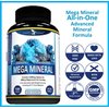 Potent Garden Mega Mineral Supplement Complete Mineral Complex with Calcium Magnesium Zinc Potassium Boron Selenium Chromium & 72 Trace Minerals Iron Free Calcium Supplement -100 Pills