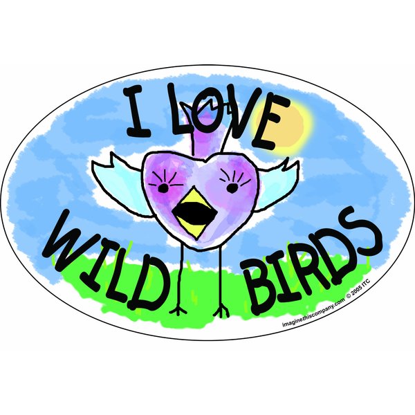 Imagine This 4-Inch by 6-Inch Car Magnet Oval, I Love Wild Birds