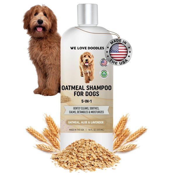 5-in-1 Premium Oatmeal Shampoo for Dogs, Gentle for Itchy & Sensitive Skin, Provides Itch Relief, Hypoallergenic & Soothing for Dry Skin, Moisturizing Anti-Itch, Made in USA, 16 oz [We Love Doodles]