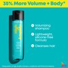 Matrix High Amplify Volumizing Shampoo | Instant Lift & Lasting Volume | Silicone-Free | Boost Structure in Fine, Limp Hair | Salon Professional Shampoo | Packaging May Vary | 10.1 Fl. Oz.