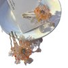 1 pcs Rabithenn Orange Equinox Flower for Women Chinese Hanfu Acrylic Resin Pearl Hair Clips Flower with Metal Hair Accessories for Women Girls Long Hair (Equinox Flower)