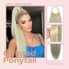 VAVANGA 28inch Long Ponytail Extension with Hair Tie, White Grey Yaki Straight Ponytail Thick Braiding Hair Ponytail Natural Fake Pony Tails Hairpiece for Women (#171/60)