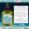 Difeel Sea Moss Anti-Shedding Premium Hair Oil 7.1 oz. - Sea Moss for Hair Growth, Ideal for Damaged, Dry or Frizzy Hair
