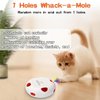 INKZOO Replaceable Feathers Accessories, 6Pcs Interchangeable Attachments for Interactive Cat Toy