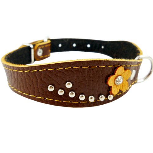 Brown Genuine leather Designer Dog Collar 14.5"x1" with Studs, Daisy, and Rhinestone