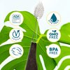 RADIUS Toothbrush Source Floss Brush BPA Free & ADA Accepted Improve Gum Health & Reduce Gum Issues - Super Soft - Cornstarch/Wood/Money - Pack of 3